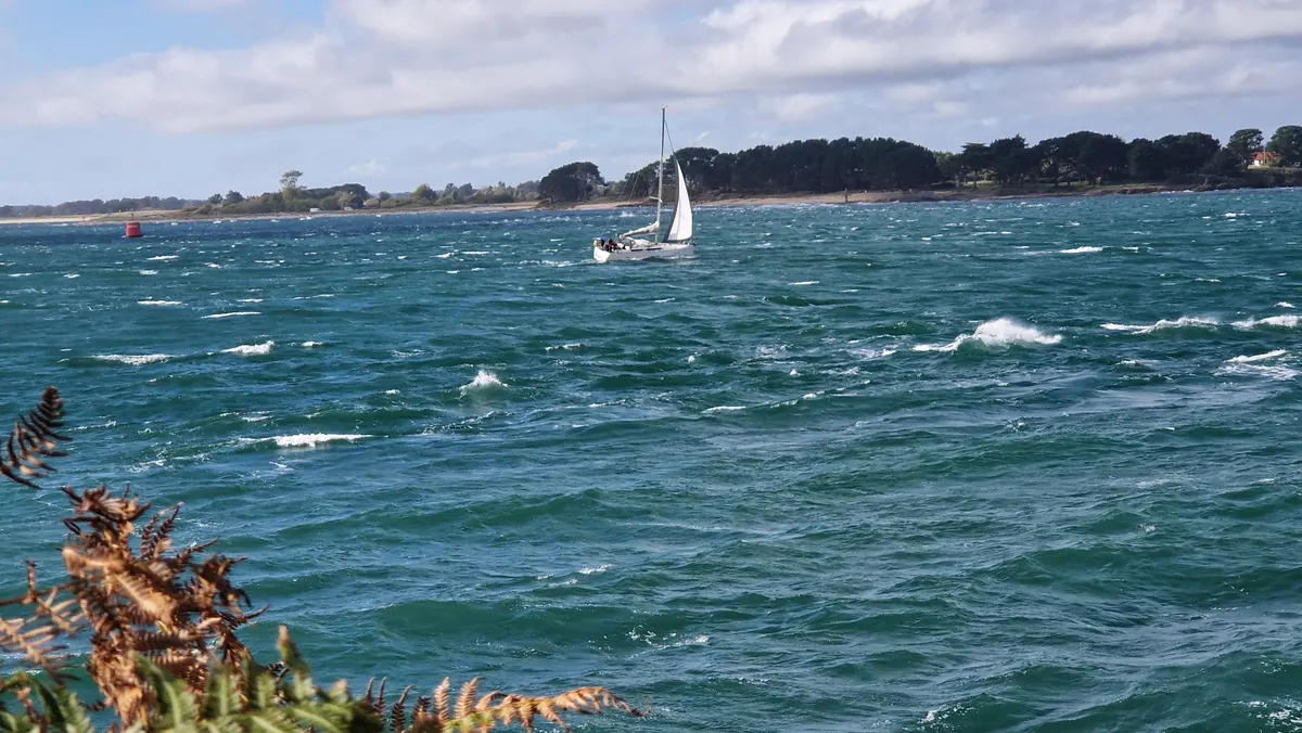Gîte "Le Champ du Bois"