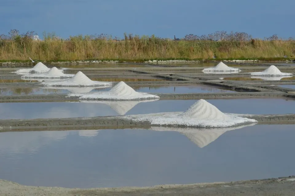 Gîte "Le Champ du Bois"