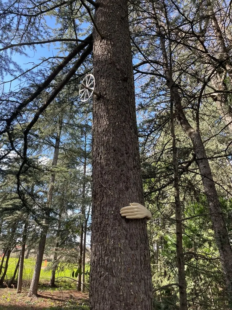 Grande maison de famille entre Auvergne et Forez piscine chauffée tennis chevaux sentier d'interprétation