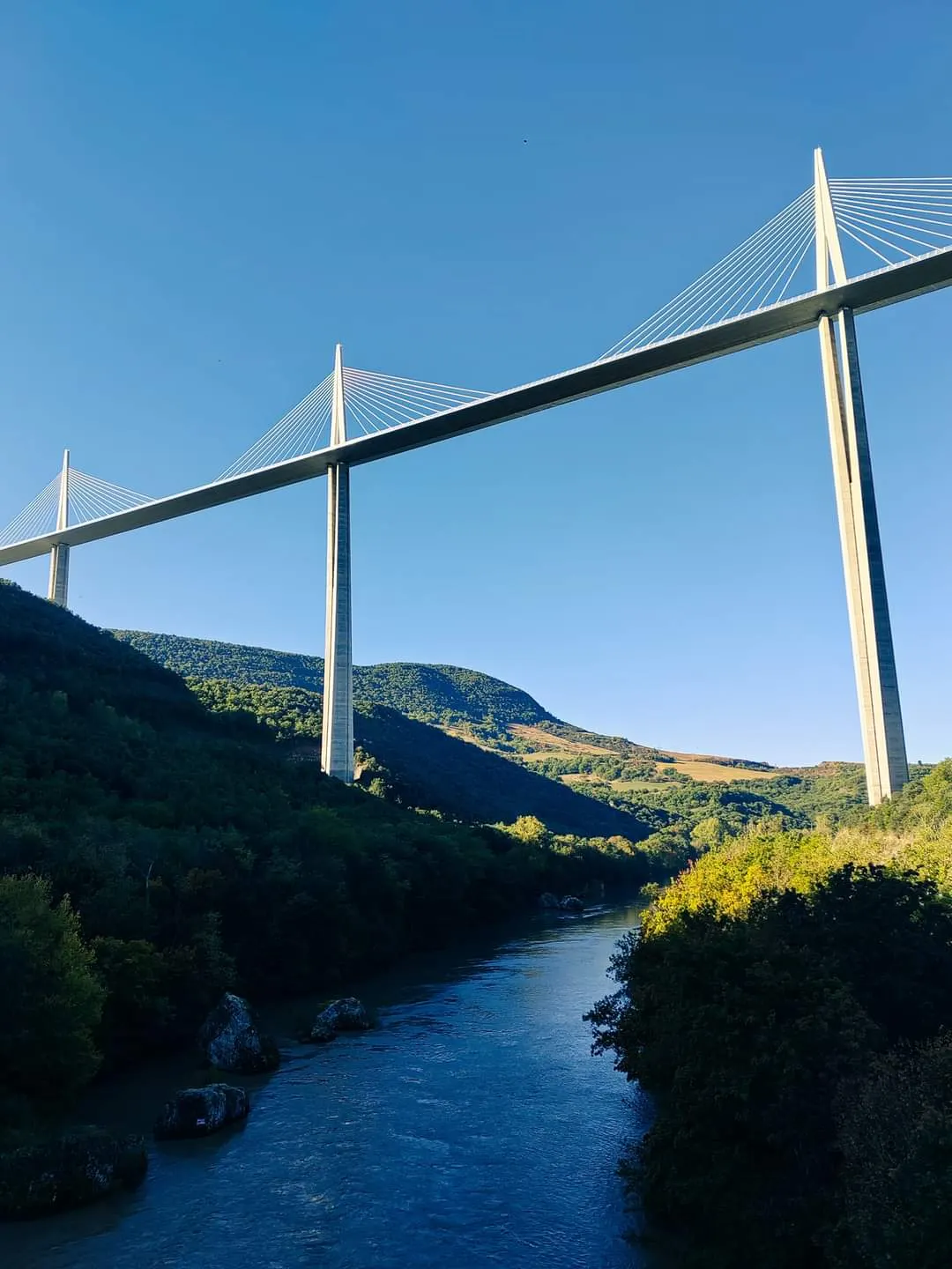 La cabane au fond du jardin
