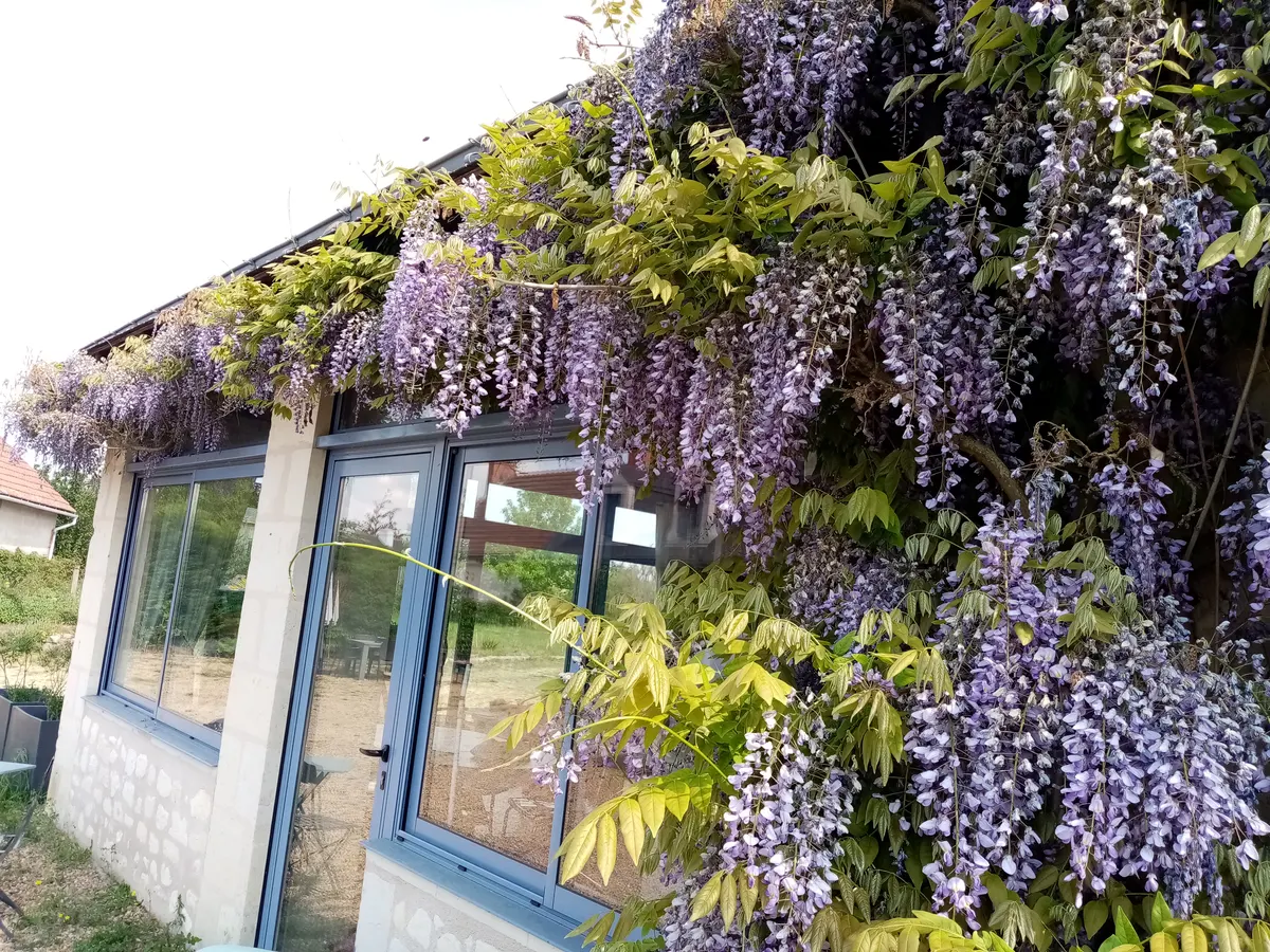 Le Grand Pré du Clos Champêtre