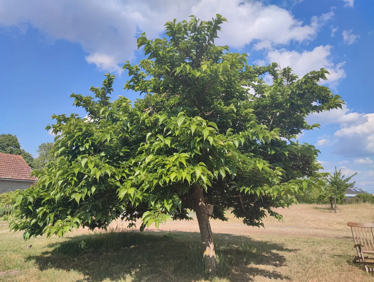 Le Grand Pré du Clos Champêtre
