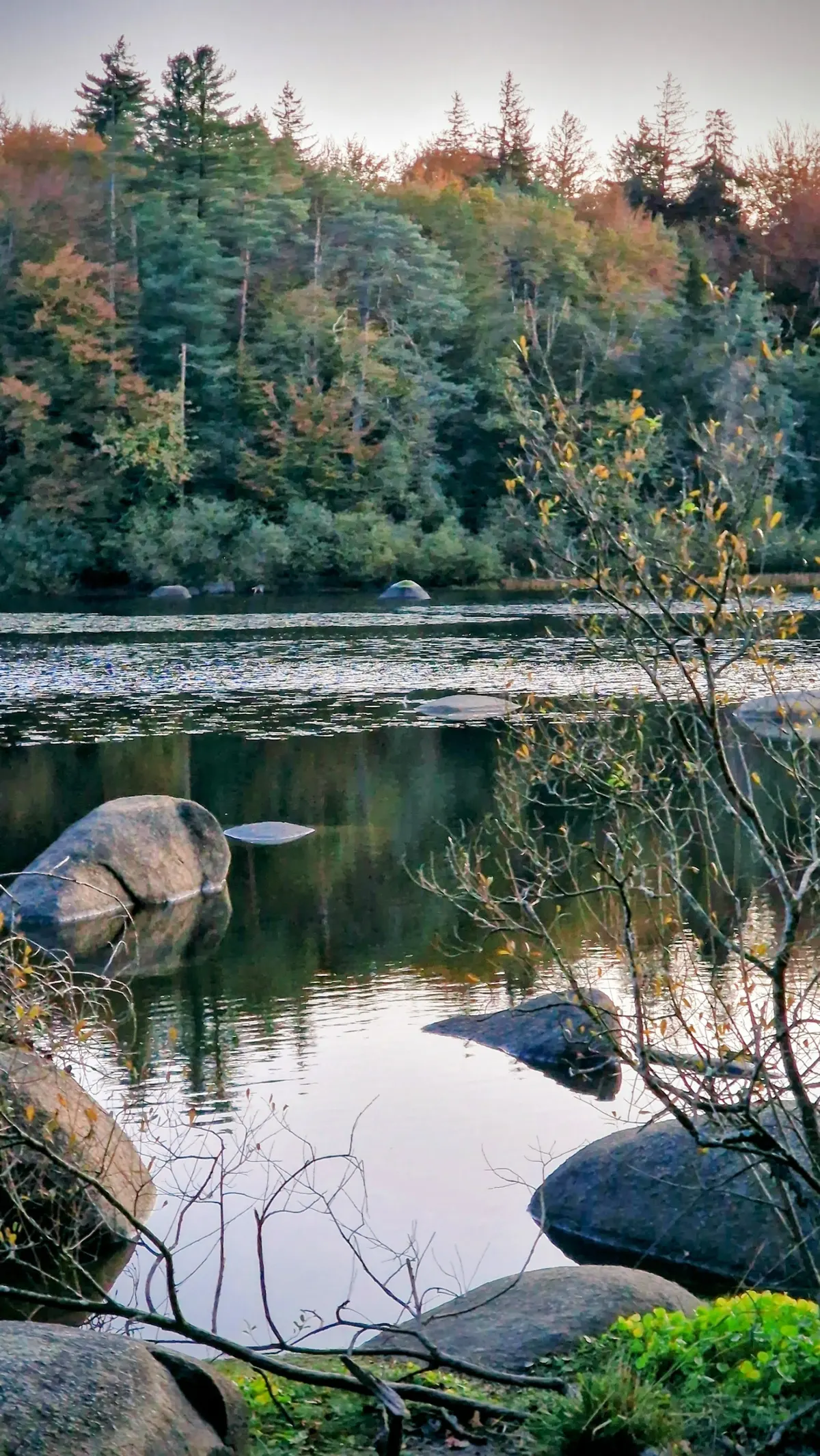 Chambres d'hôtes À L'École Buissonnière Sidobre Tarn