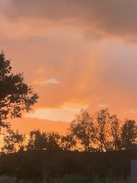 Le Chant des Grillons