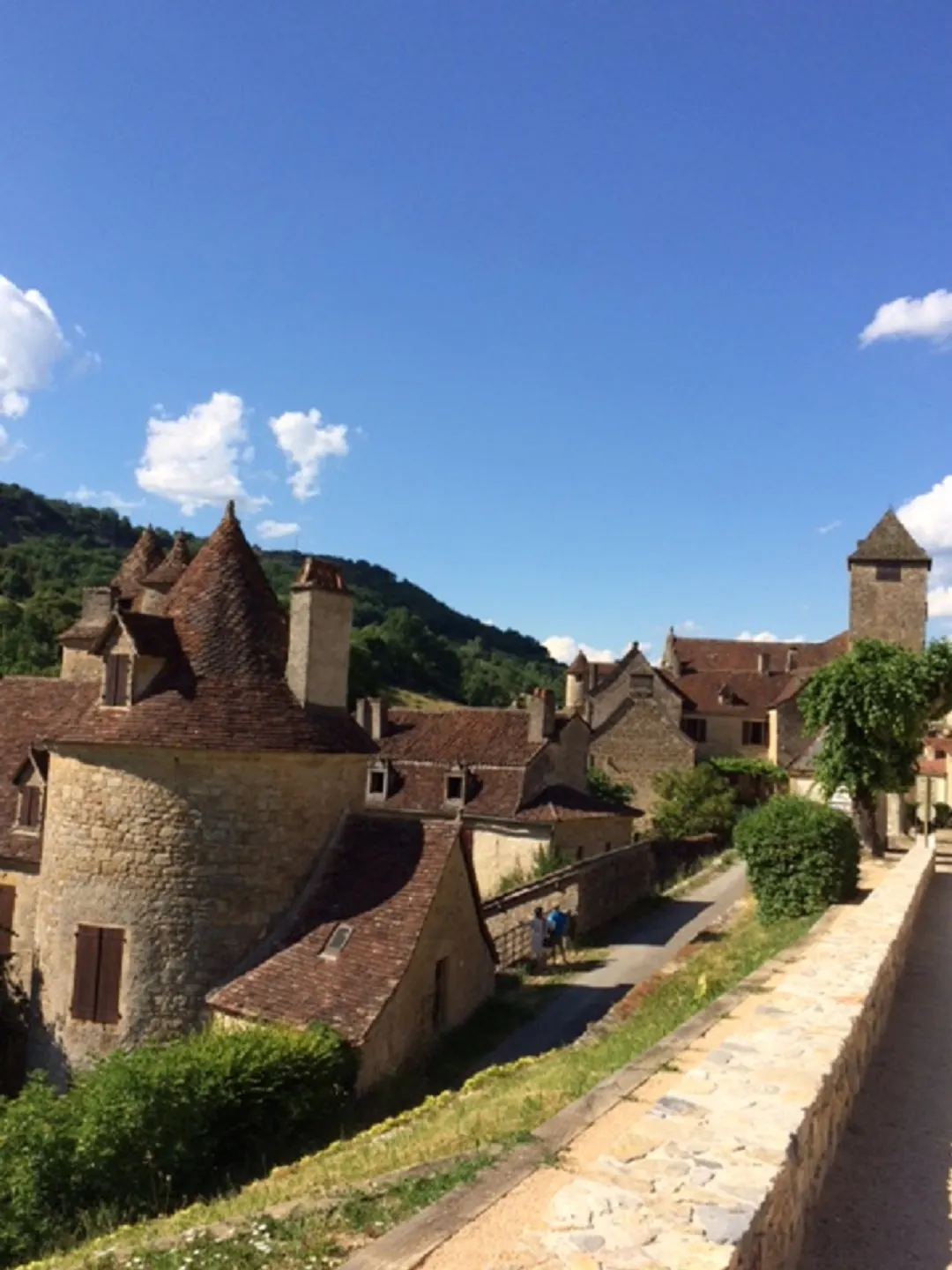 Maison cantal avec piscine chauffée