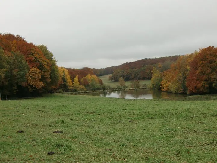 Gite en pierres du pays avec Pêche étang