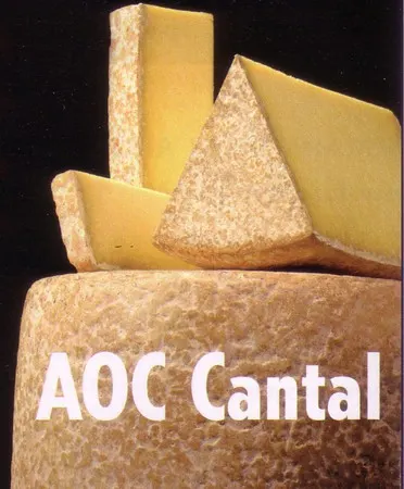 Gite en pierres du pays avec Pêche étang